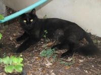 20100206 265.JPG